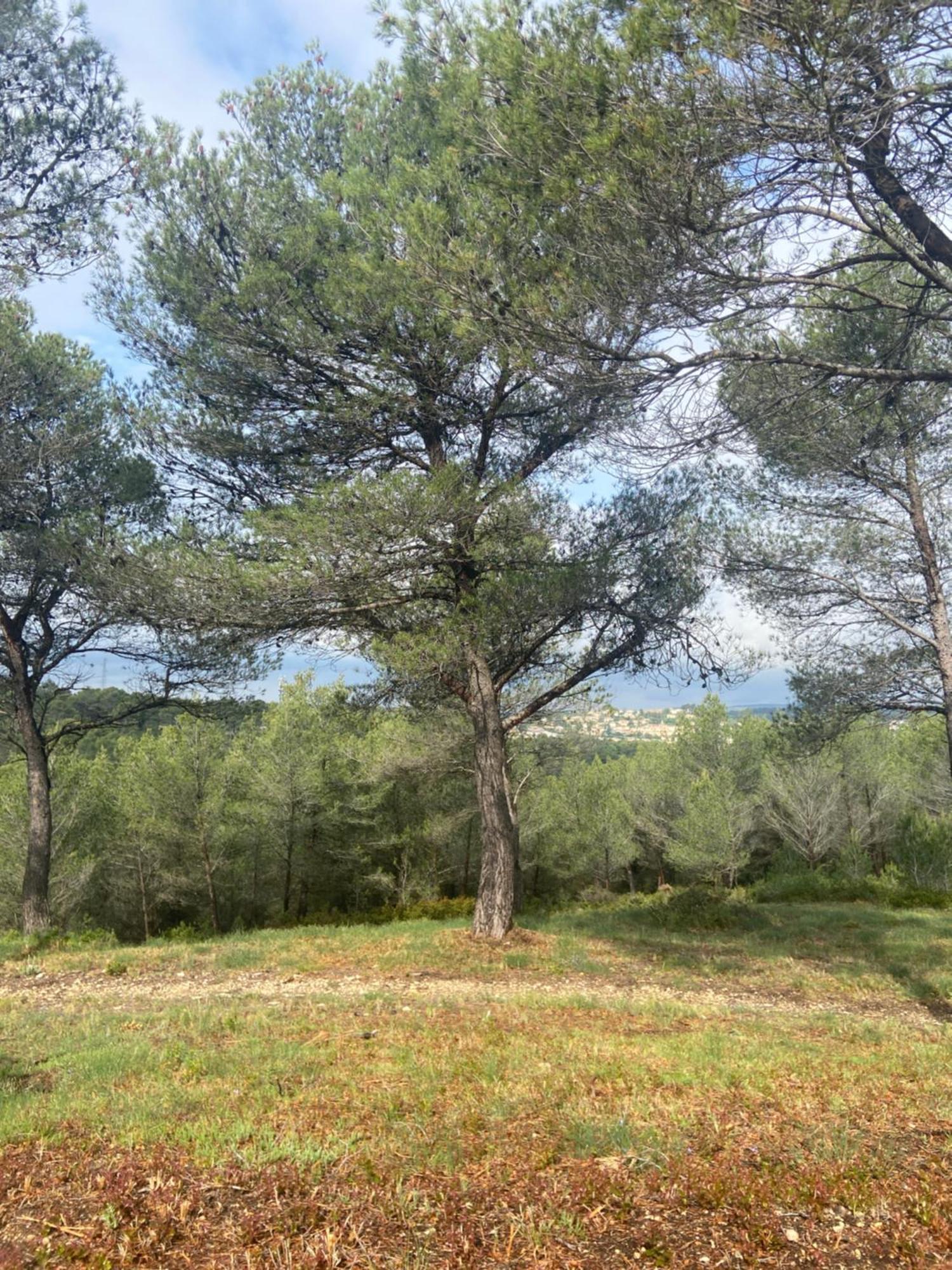 Apartamento Tiny Harmony - Confortable Avec Jardin Et Jacuzzi Prives Pres D'aix En Provence